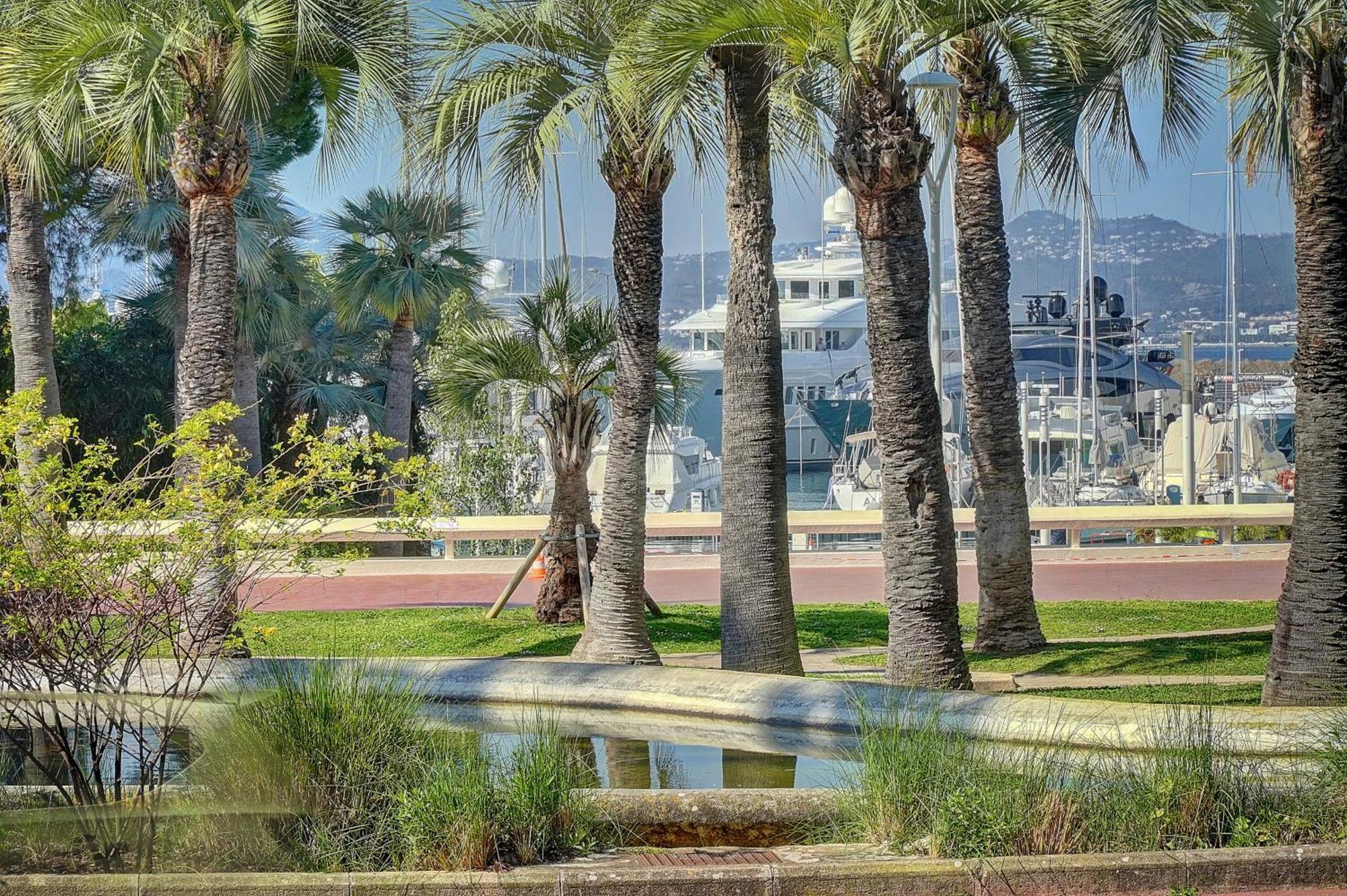 Le Palm - 100M Plage - Croisette - Verriere Cote D'Azur カンヌ エクステリア 写真