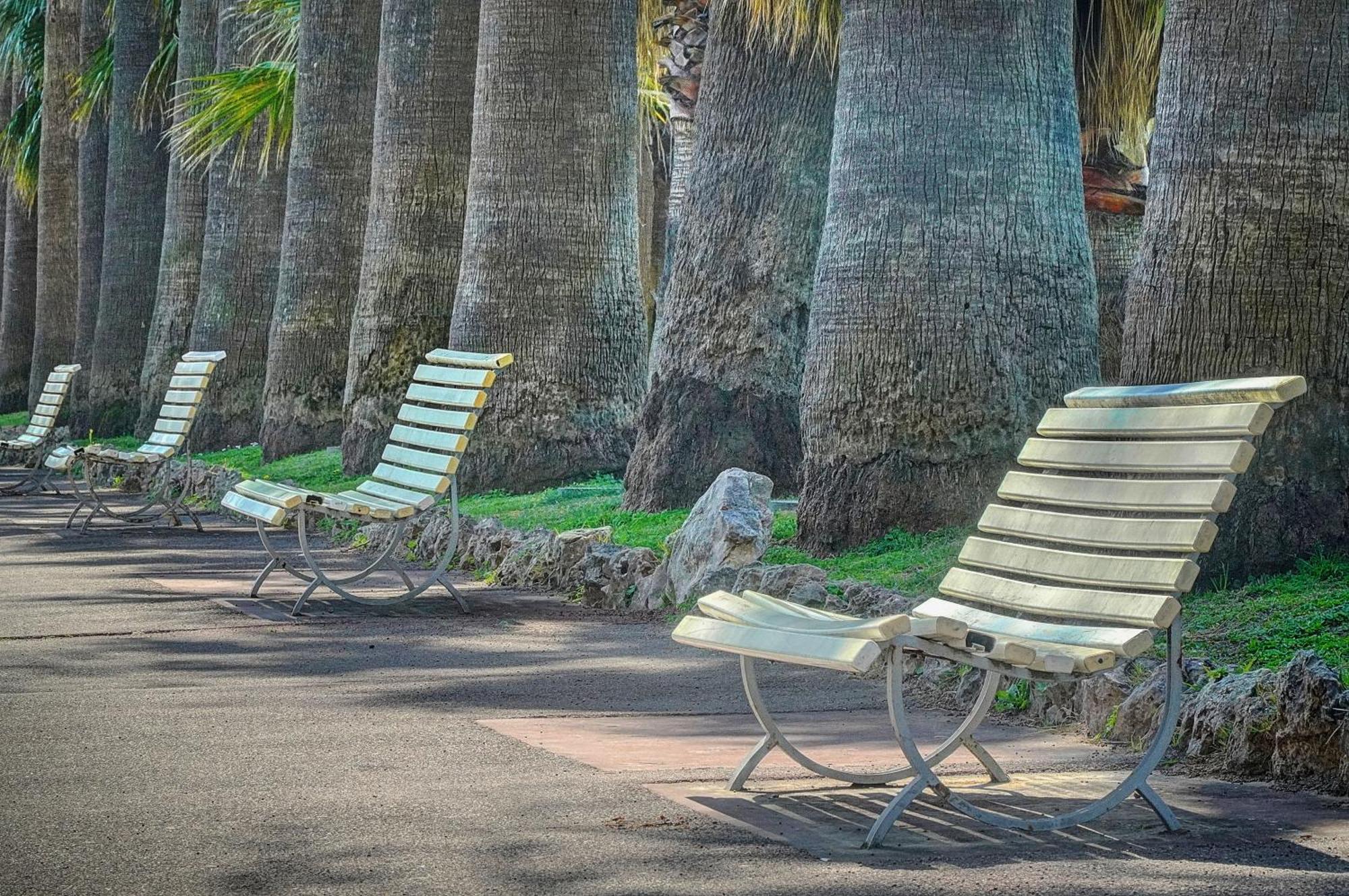 Le Palm - 100M Plage - Croisette - Verriere Cote D'Azur カンヌ エクステリア 写真