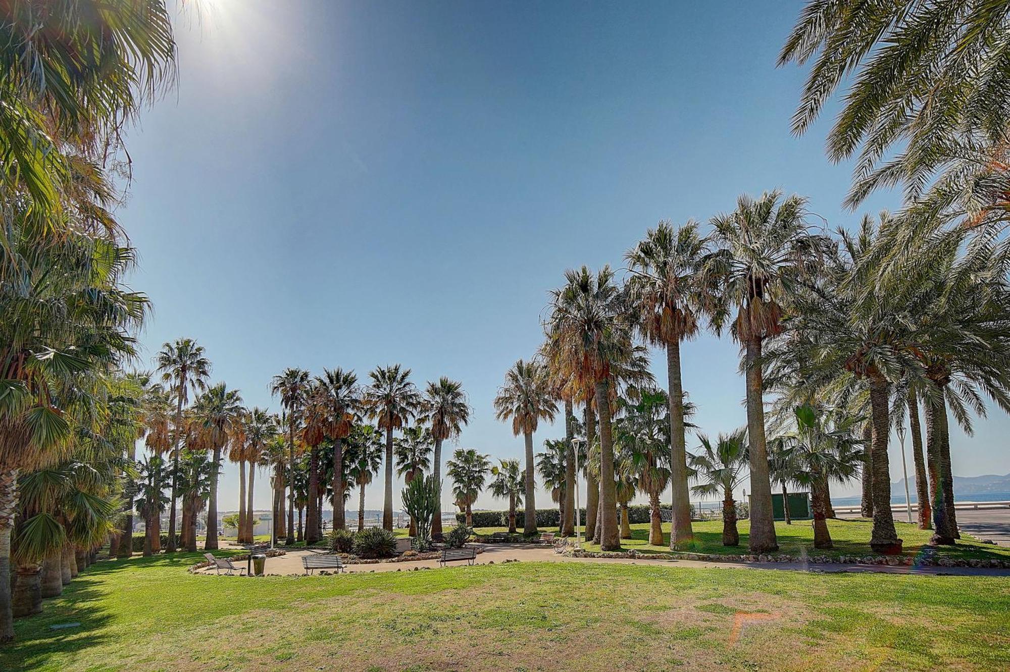 Le Palm - 100M Plage - Croisette - Verriere Cote D'Azur カンヌ エクステリア 写真