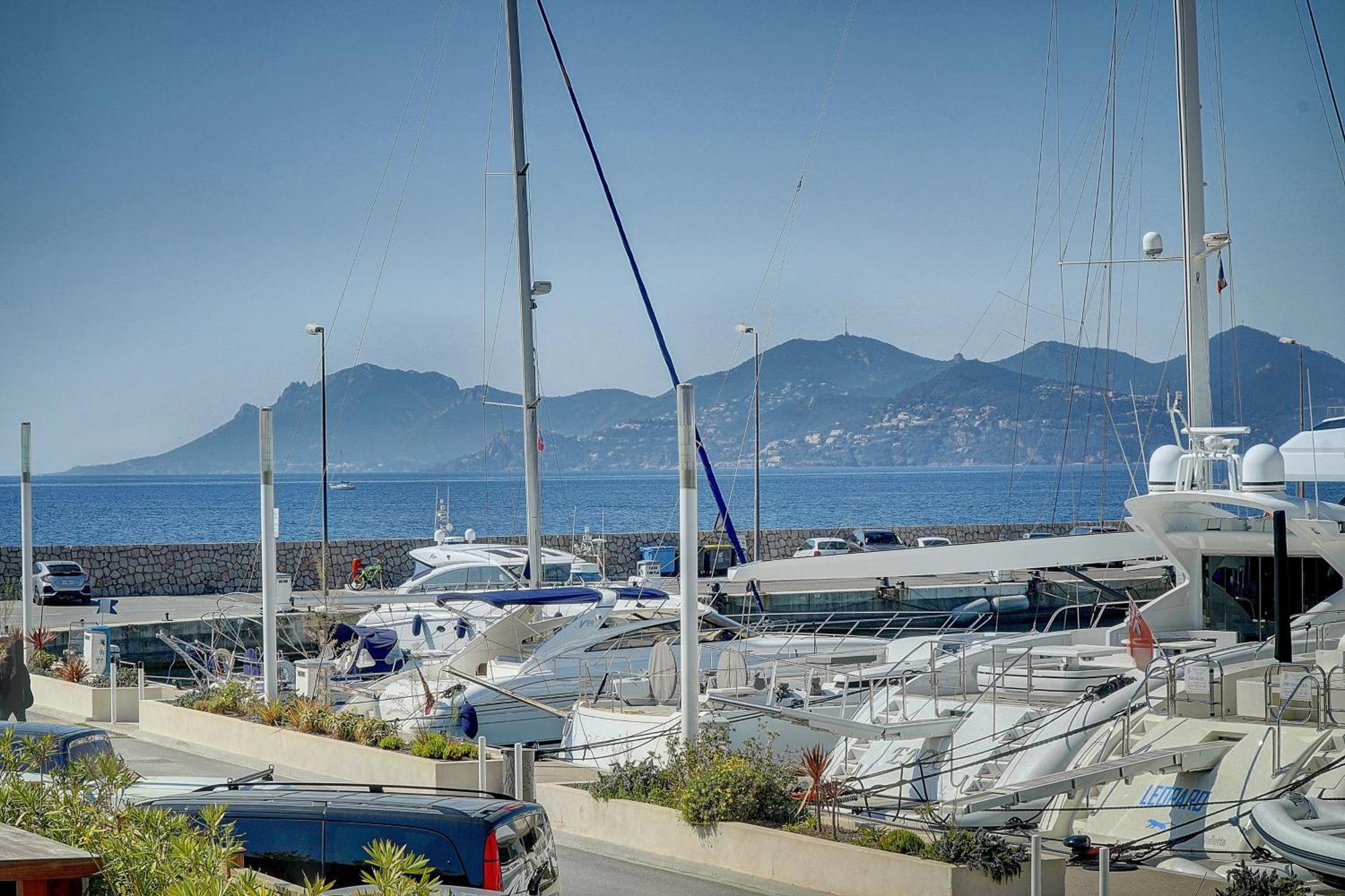 Le Palm - 100M Plage - Croisette - Verriere Cote D'Azur カンヌ エクステリア 写真